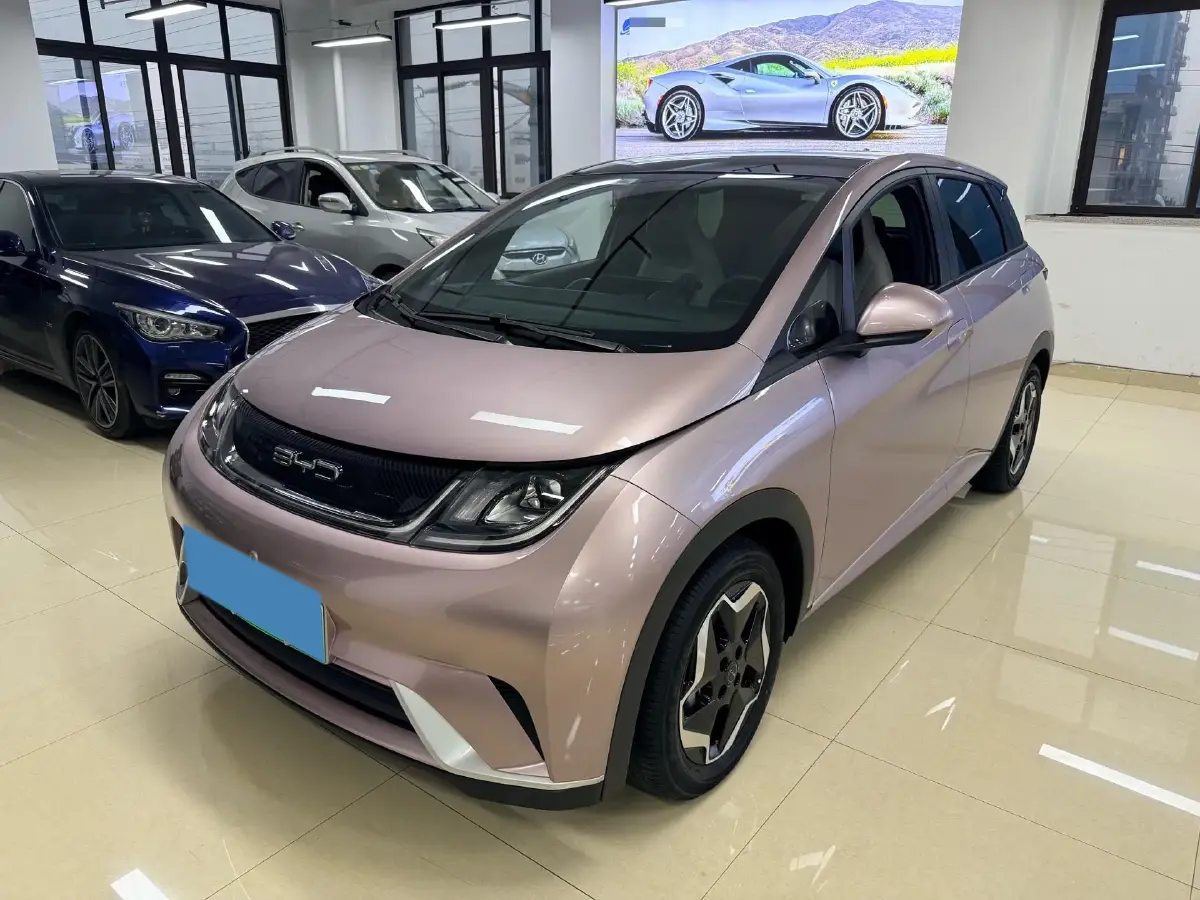 2021 BYD Yuan Pro BEV 50.1KWH