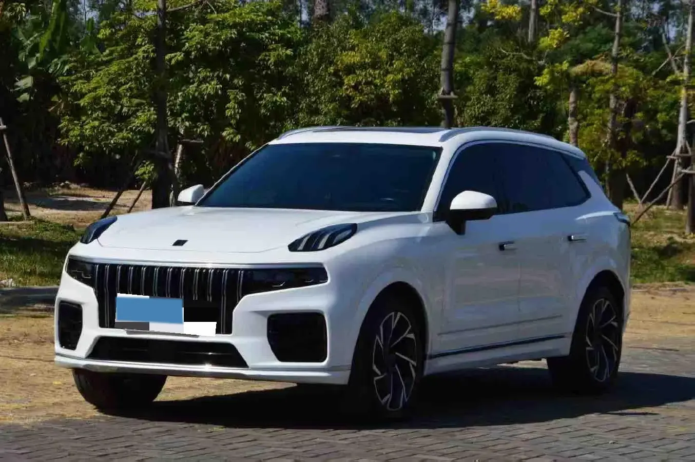 2021 Buick GL8 2.0T 237HP L4 9AT