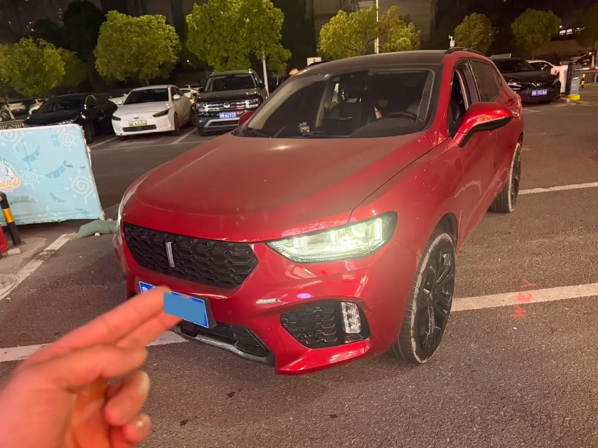 2017 WEY VV5 2.0T 197HP L4 7DCT