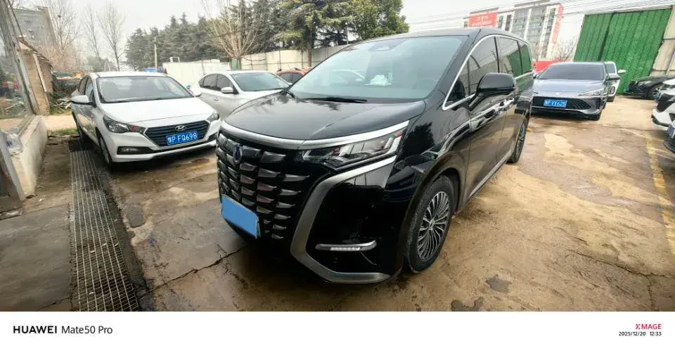 2024 Denza D9 1.5T 139HP L4 E-CVT PHEV 40KWH