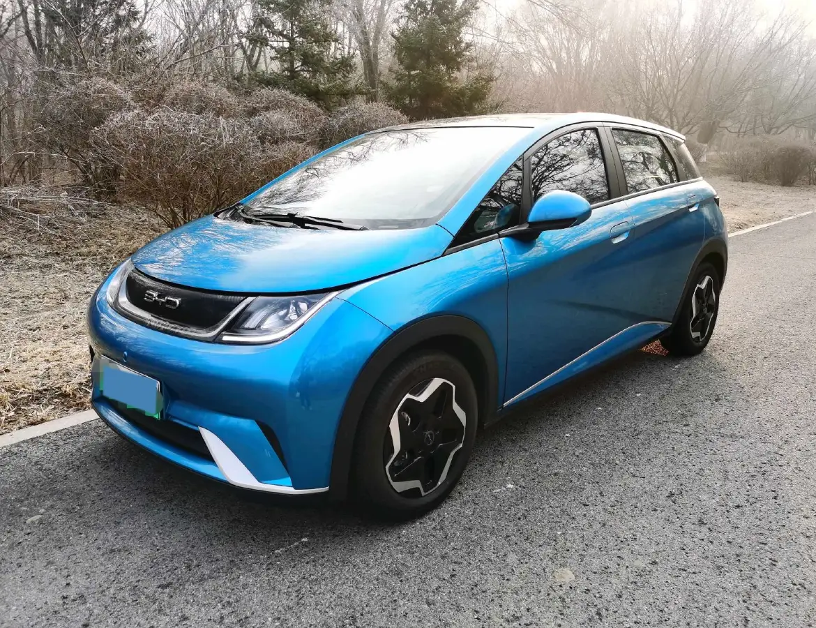 2021 BYD Yuan Pro BEV 50.1KWH