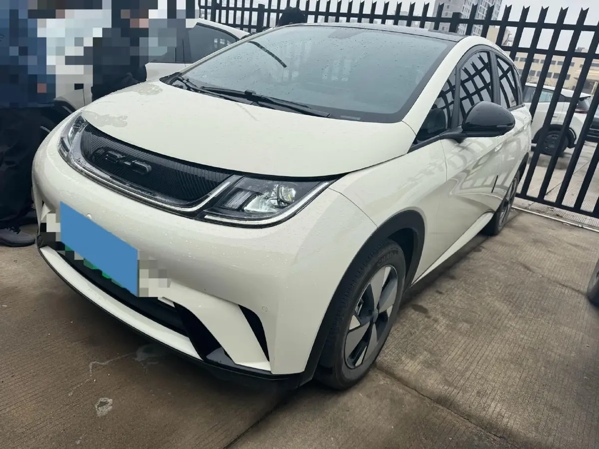2023 BYD Dolphin BEV 44.928KWH