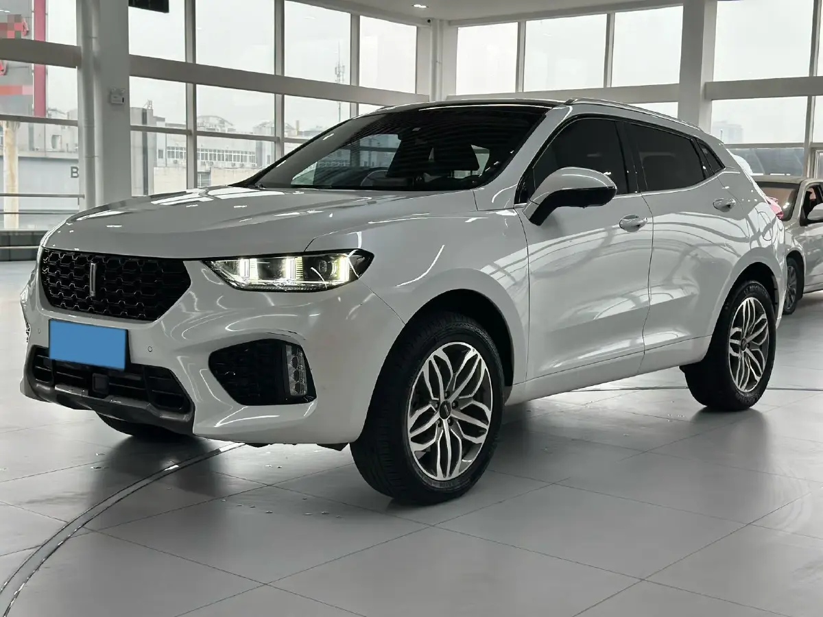 2019 WEY VV5 2.0T 224HP L4 7DCT