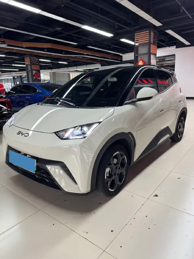 2024 BYD Seagull BEV 30.08KWH