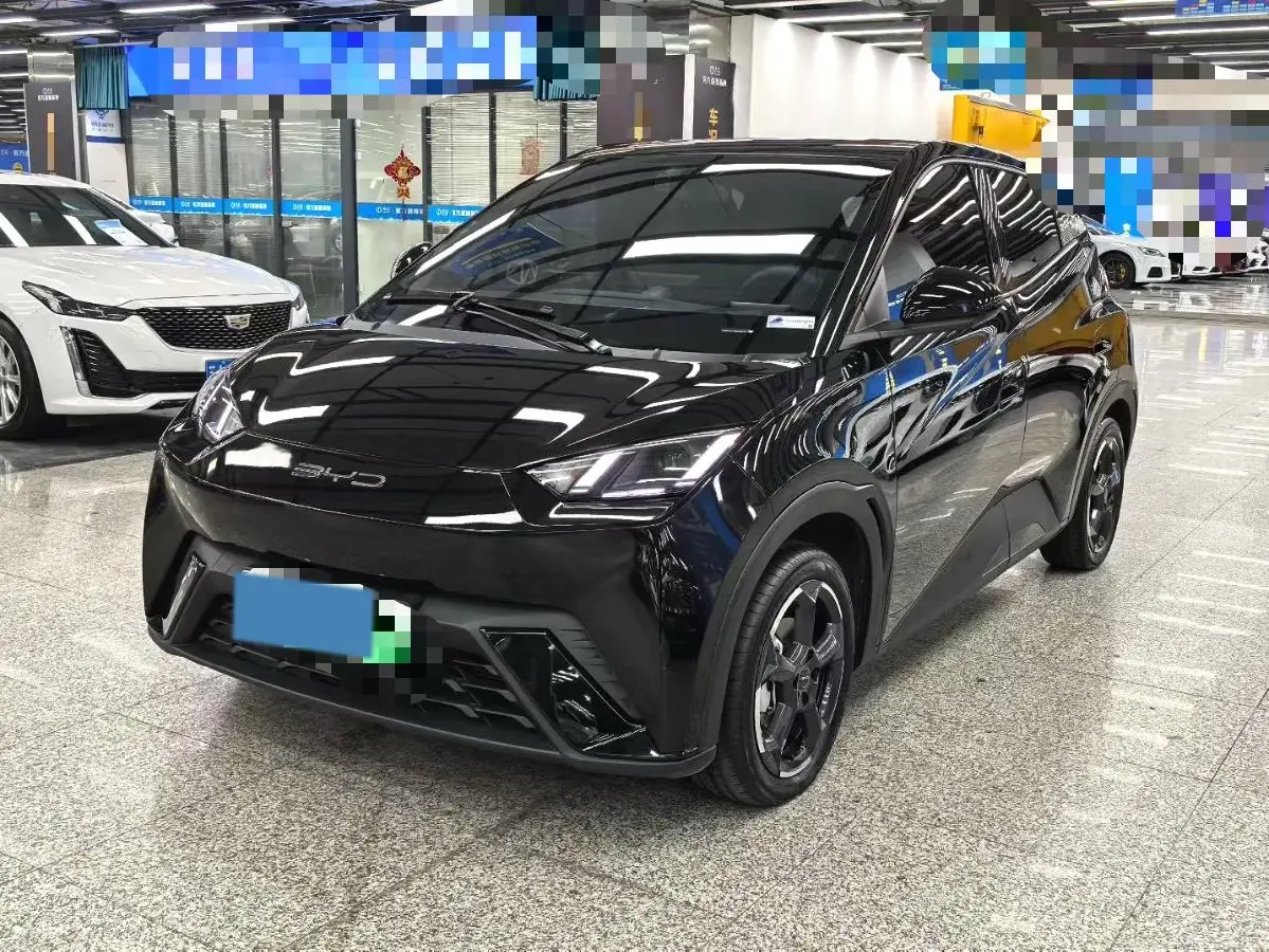 2023 BYD Yuan Pro BEV 38KWH