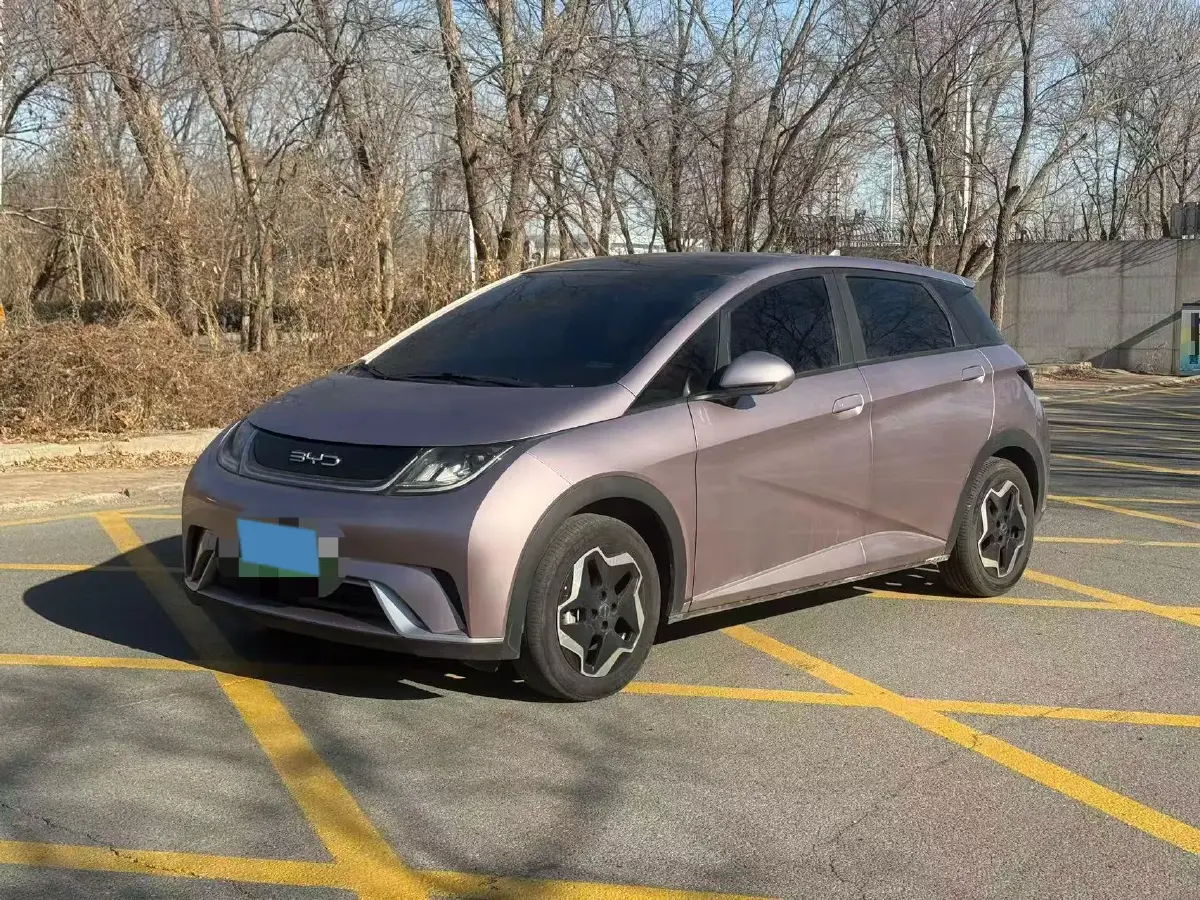 2021 BYD Yuan Pro BEV 50.1KWH