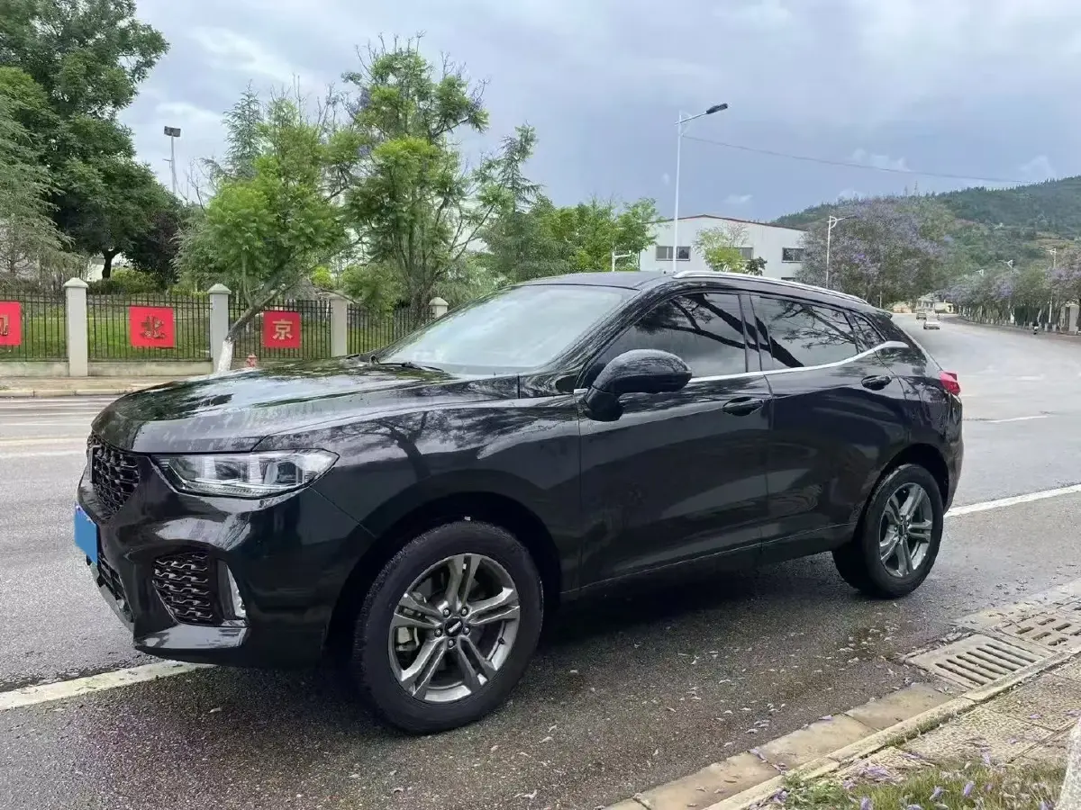 2019 WEY VV5 2.0T 197HP L4 7DCT