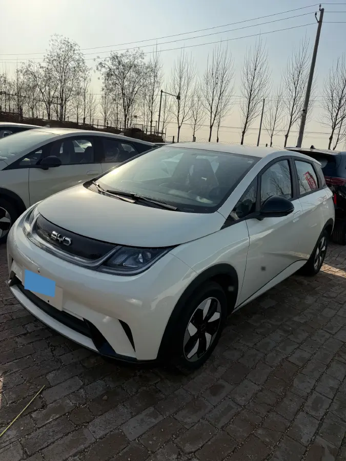 2025 BYD Dolphin BEV 44.928KWH