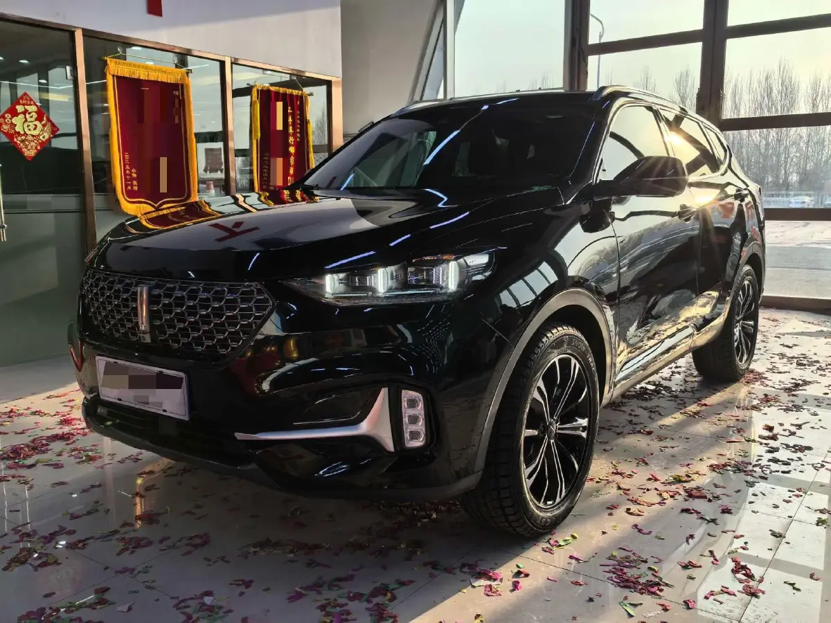 2021 WEY VV6 2.0T 227HP L4 7DCT