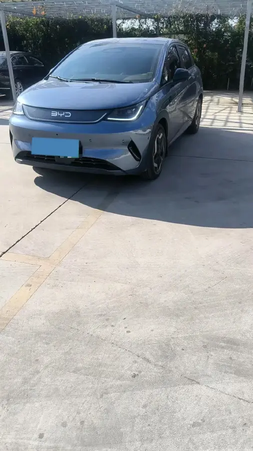2025 BYD Dolphin BEV 45.12KWH