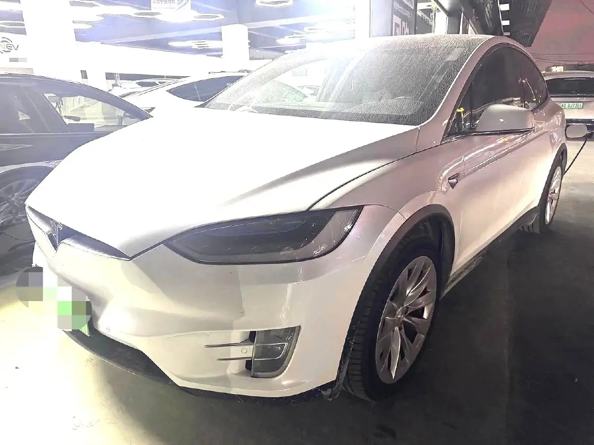 2019 Tesla Model X BEV 100KWH