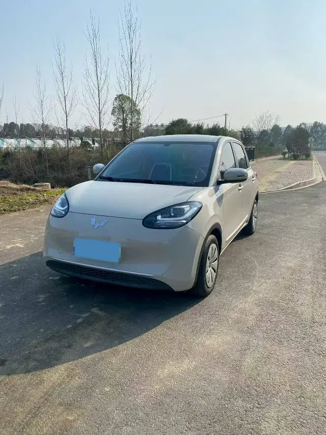 2023 WuLing BinGuo BEV 17.3KWH