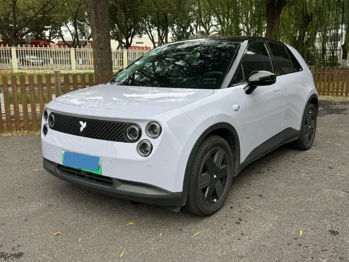 2025 Firefly Firefly BEV