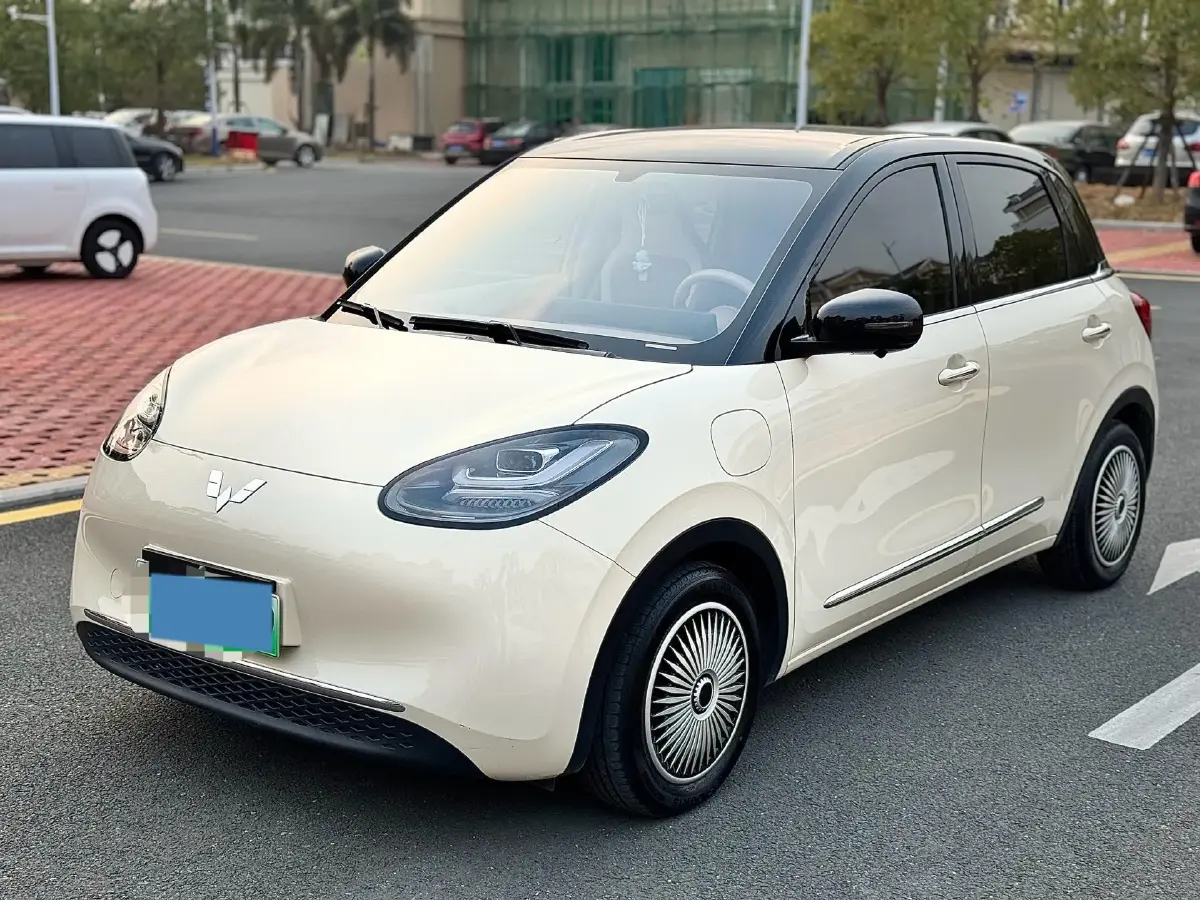 2024 WuLing BinGuo BEV 31.9KWH