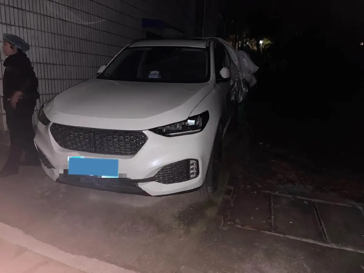 2020 WEY VV6 2.0T 227HP L4 7DCT