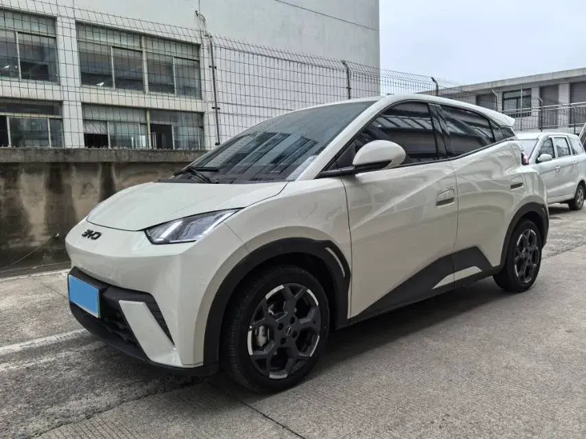 2025 BYD Seagull BEV 30.08KWH