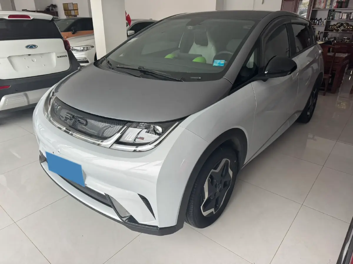 2021 BYD Yuan Pro BEV 50.1KWH