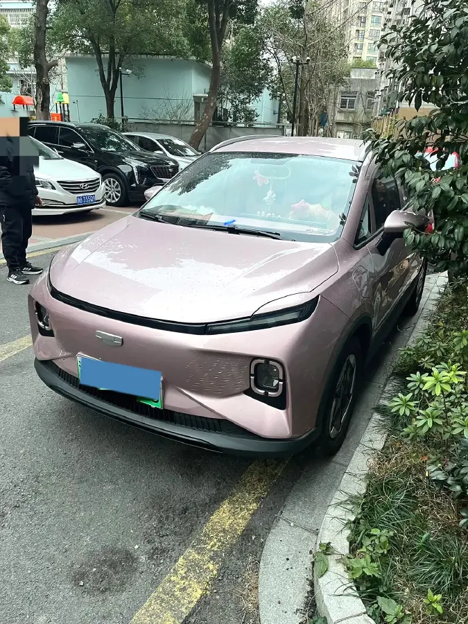 2024 Geometry E BEV 29.67KWH