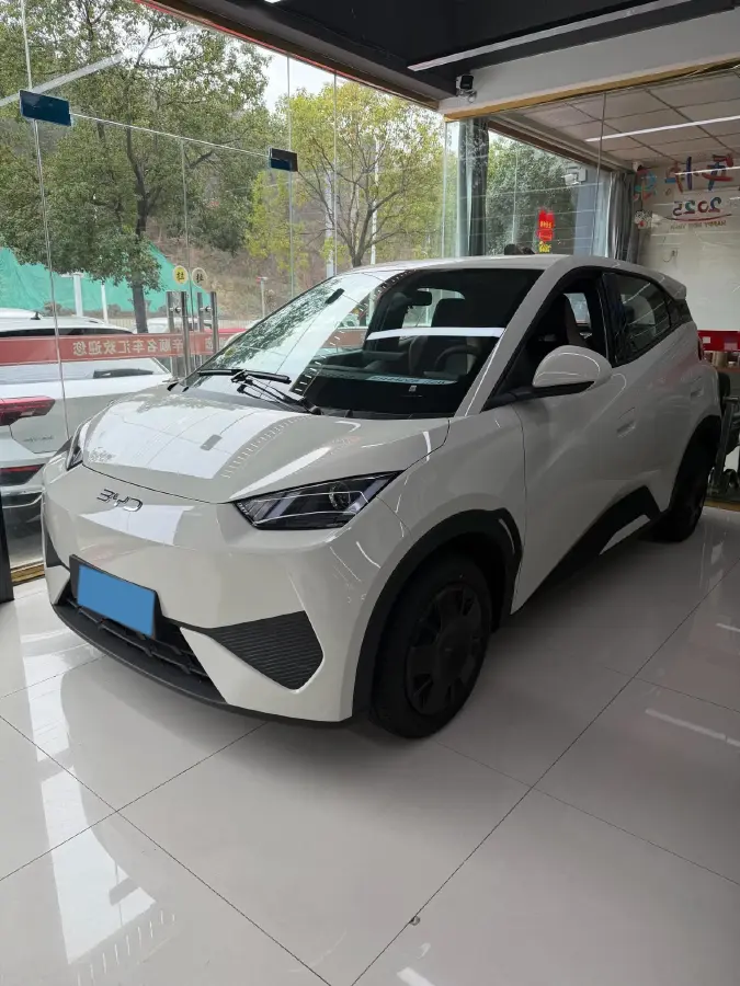 2025 BYD Seagull BEV 30.08KWH