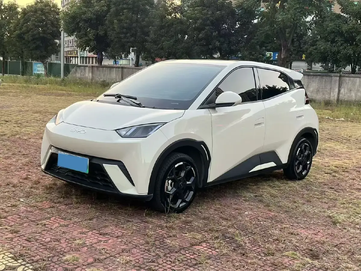 2024 BYD Seagull BEV 30.08KWH