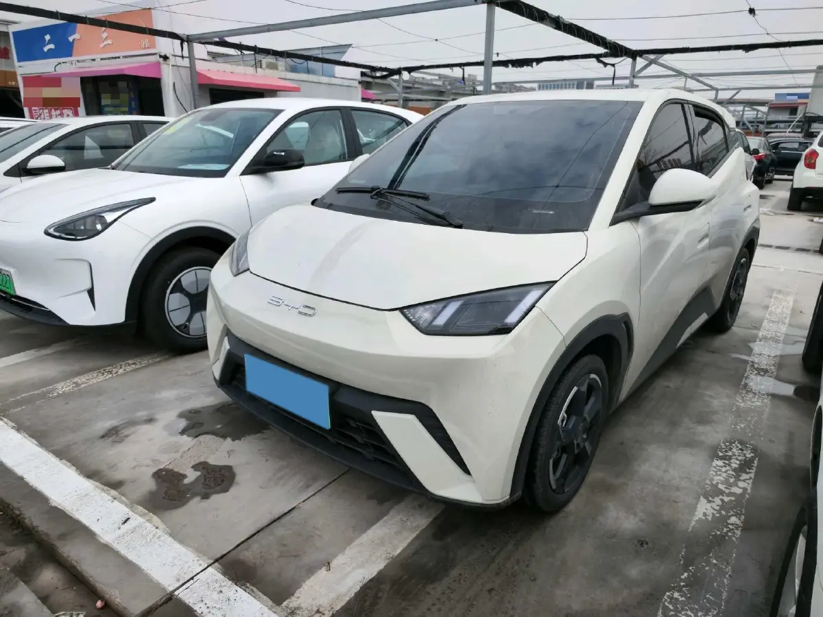 2023 BYD Seagull BEV 30.08KWH