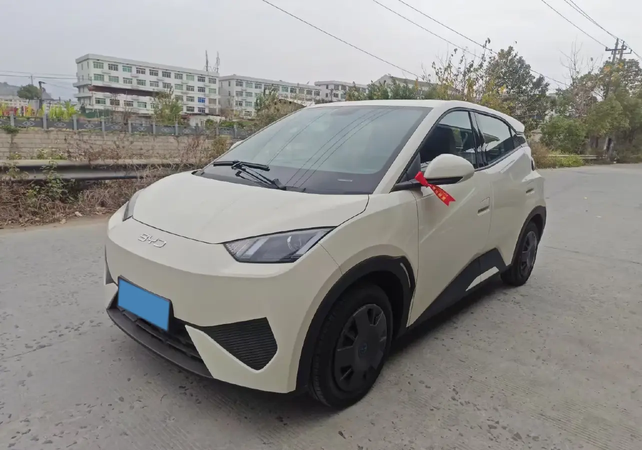 2025 BYD Seagull BEV 30.08KWH