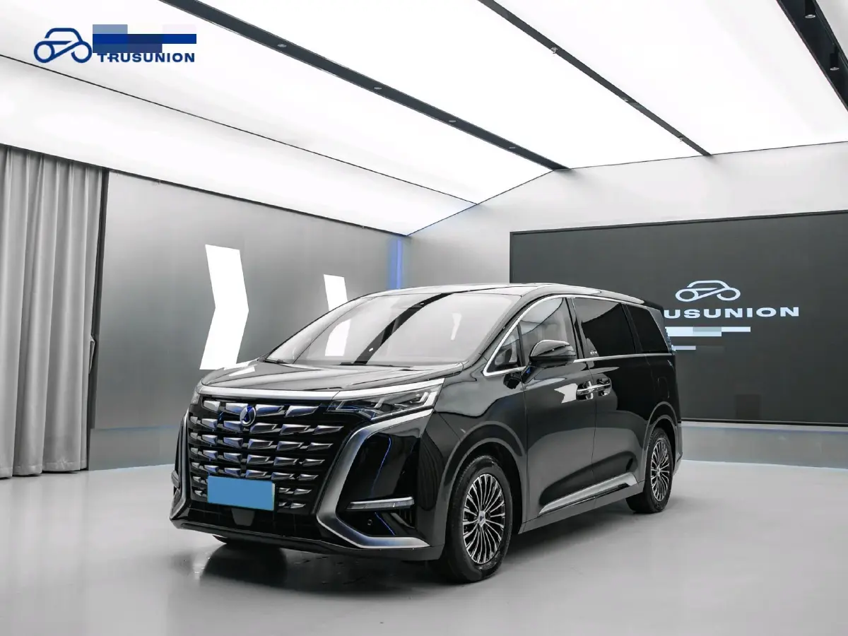 2024 Denza D9 1.5T 139HP L4 E-CVT PHEV 40KWH