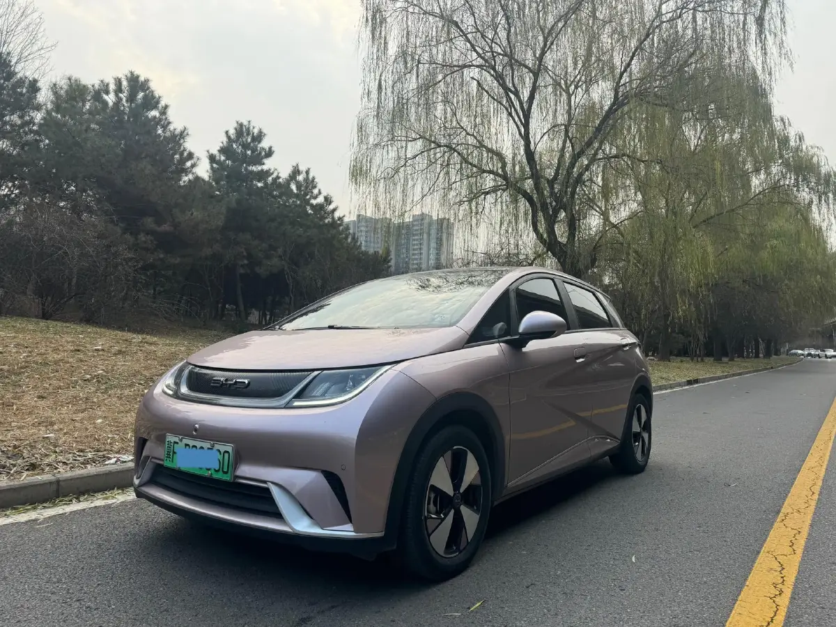2023 BYD Dolphin BEV 44.928KWH