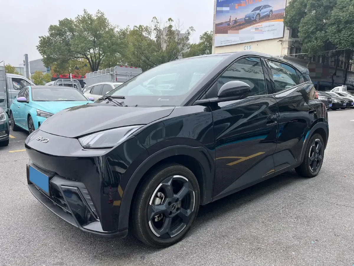 2024 BYD Seagull BEV 38.88KWH