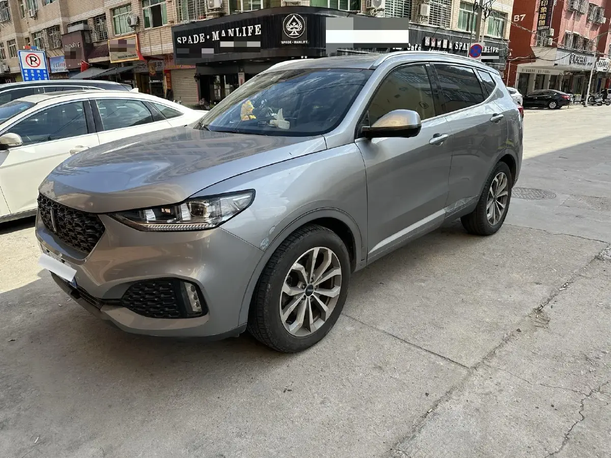 2018 WEY VV6 2.0T 197HP L4 7DCT