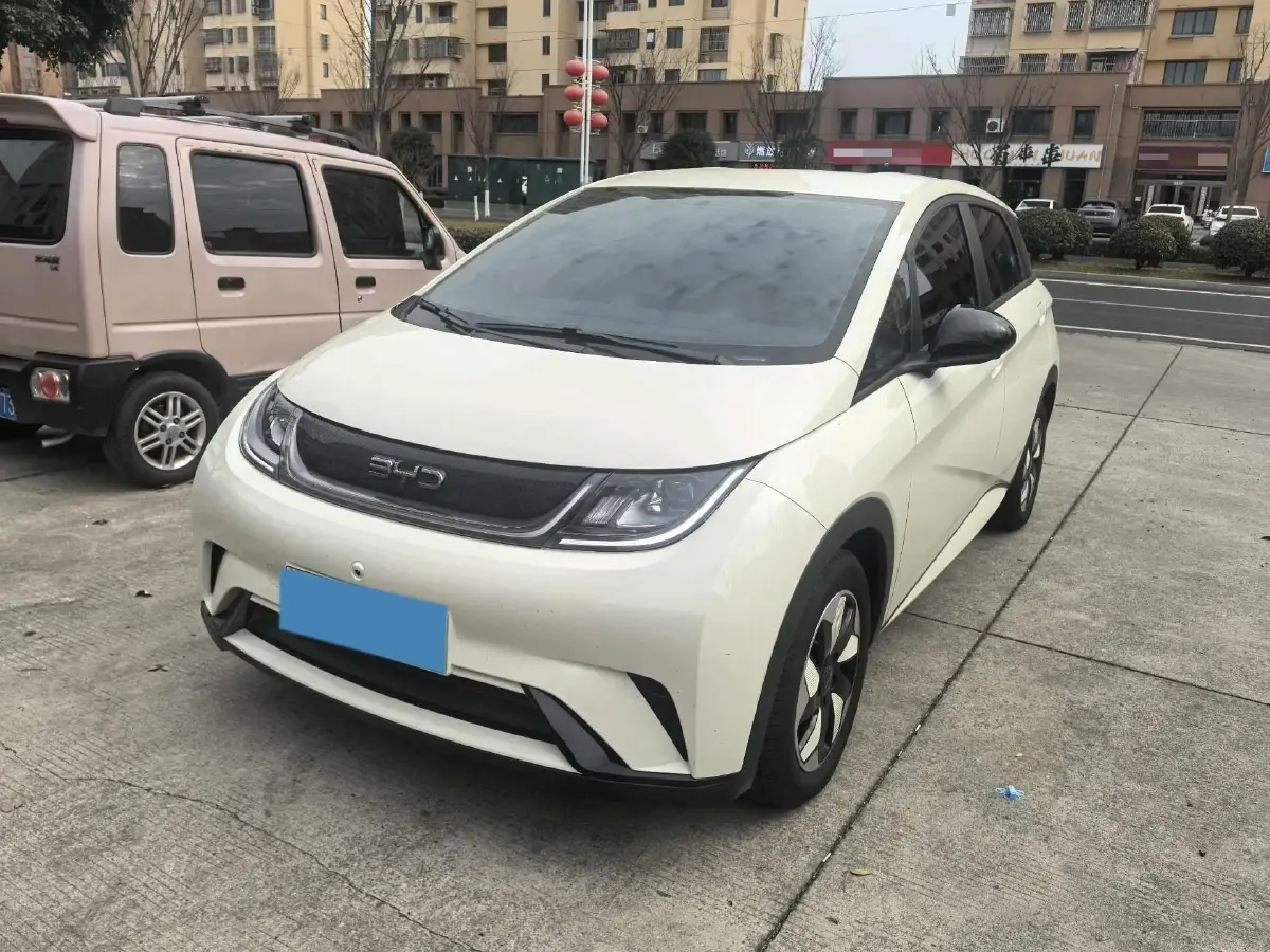 2025 BYD Dolphin BEV 45.12KWH