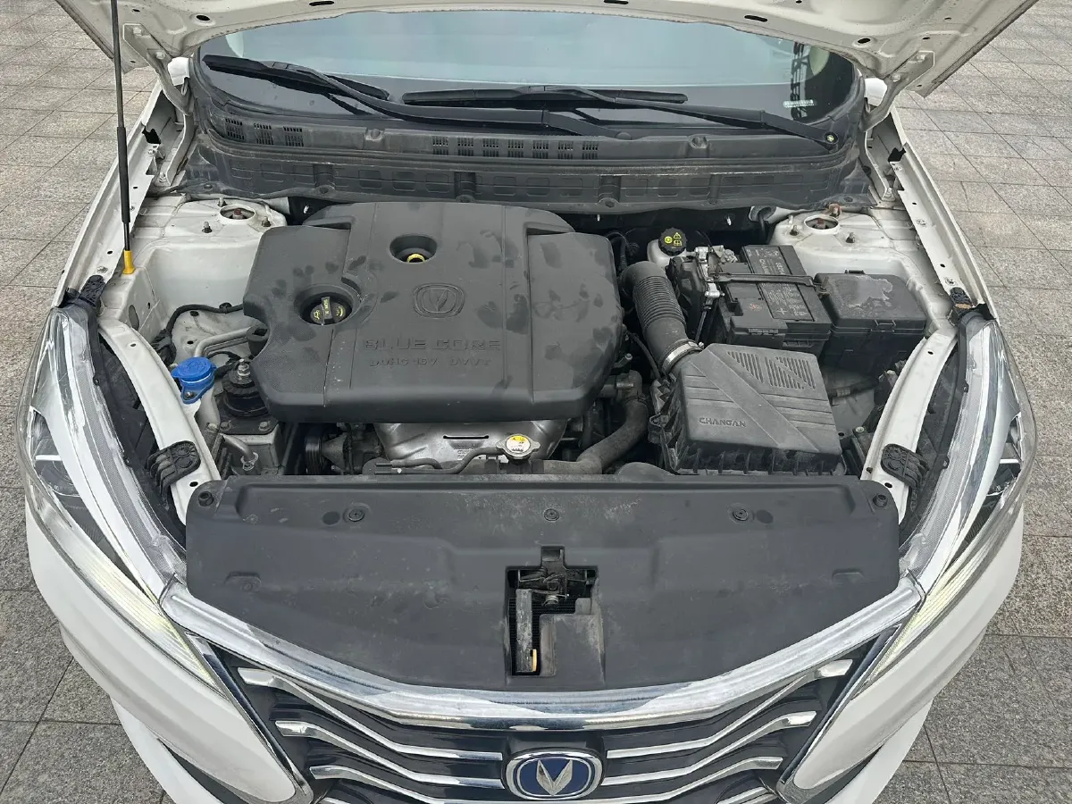 2019 ChangAn Eado DT 1.6L 125HP L4 4AT,autocango,china used car exporter,china ev exporter,chinese used car exporter,chinese used ev exporter