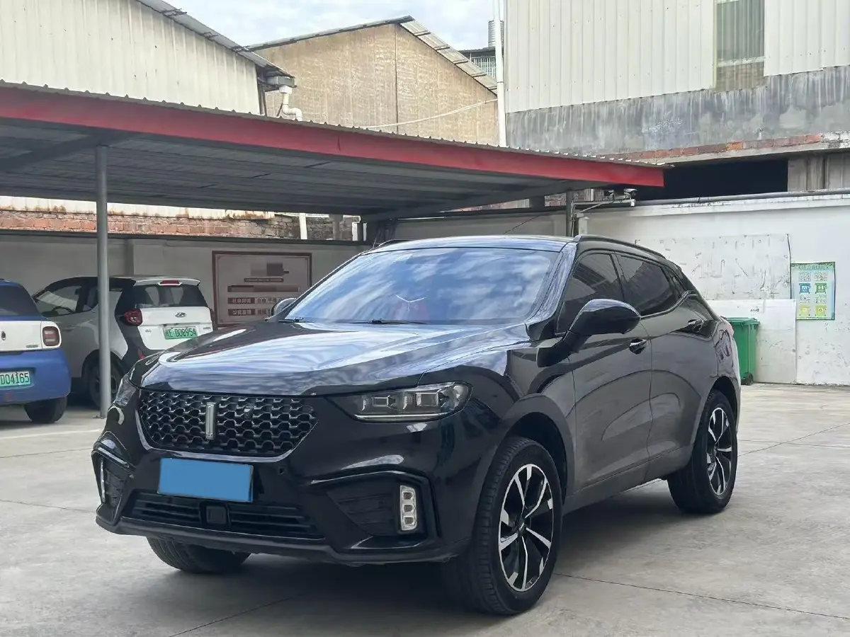 2019 WEY VV5 2.0T 197HP L4 7DCT