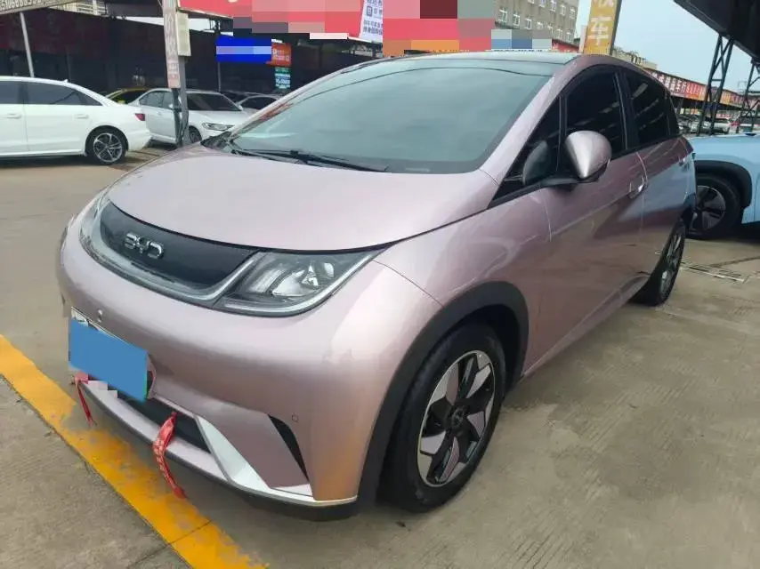 2024 BYD Dolphin BEV 44.928KWH