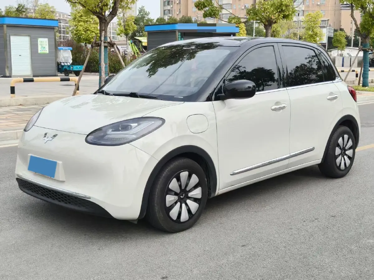 2023 WuLing BinGuo BEV 31.9KWH