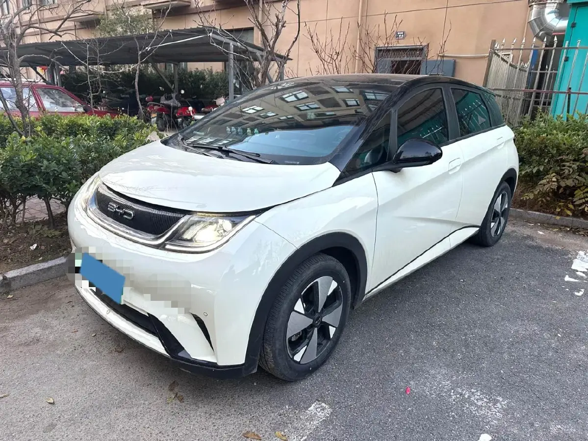 2023 BYD Dolphin BEV 44.928KWH