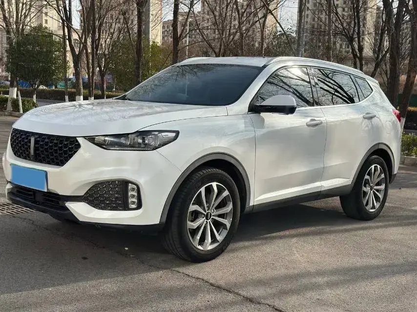 2020 WEY VV6 2.0T 227HP L4 7DCT