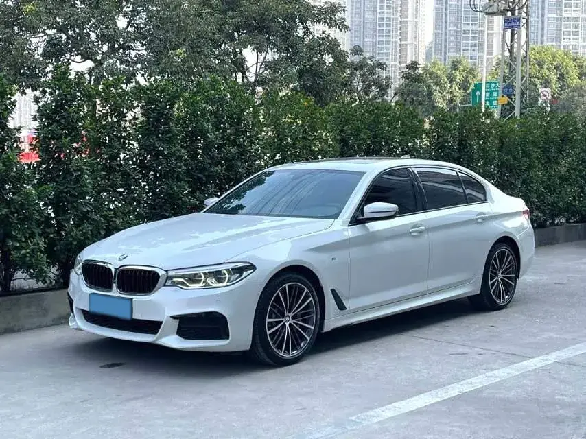 2020 BMW 5 Series 2.0T 252HP L4 8AT