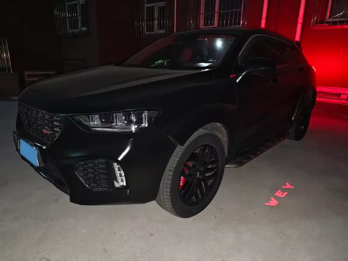 2019 WEY VV5 2.0T 224HP L4 7DCT