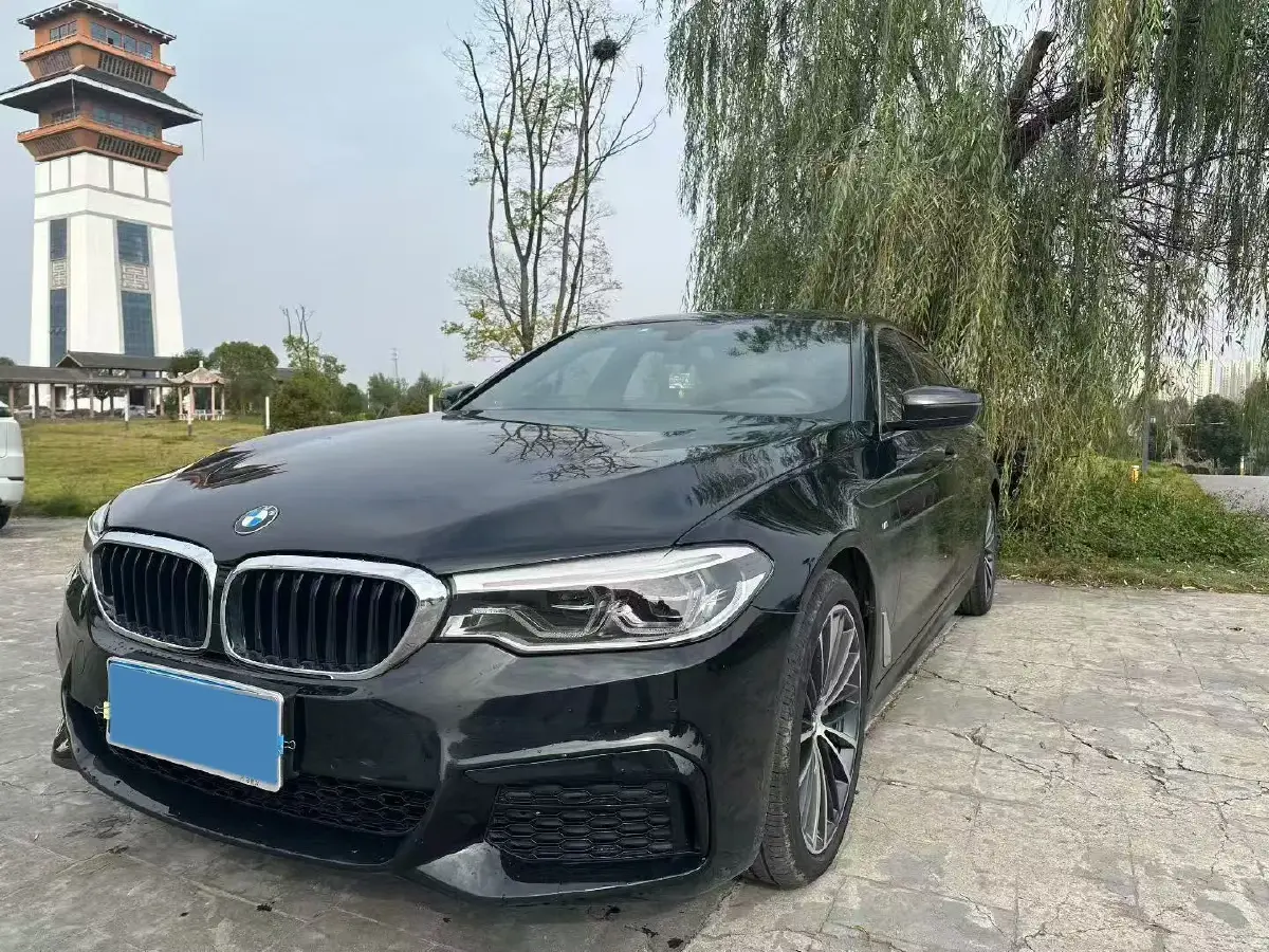 2020 BMW 5 Series 2.0T 252HP L4 8AT