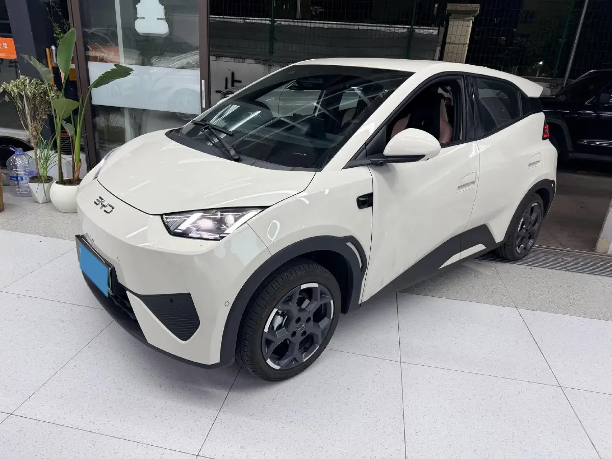 2025 BYD Seagull BEV 30.08KWH