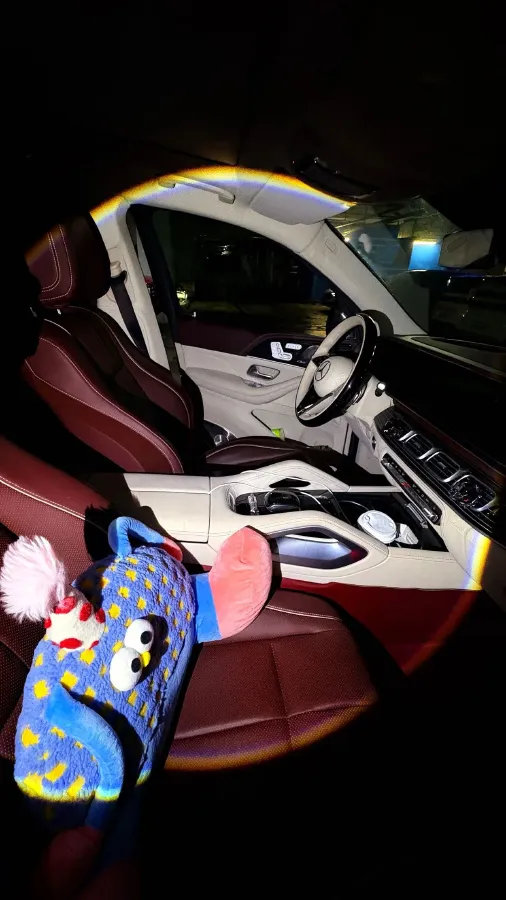 2024 Mercedes-Benz GLS Class 2.5T 313HP L6 9AT,autocango,china used car exporter,china ev exporter,chinese used car exporter,chinese used ev exporter