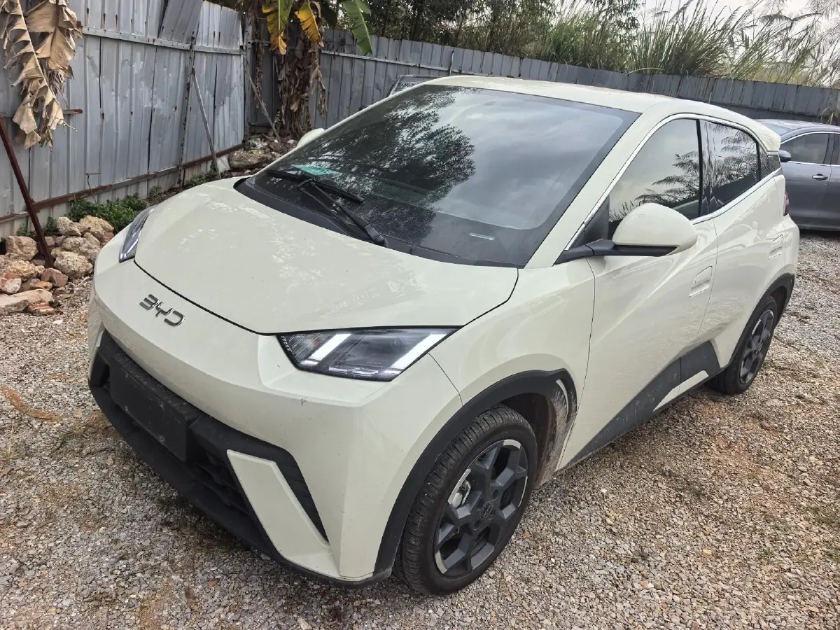 2024 BYD Seagull BEV 30.08KWH