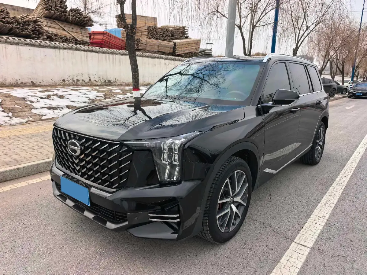 2022 GAC Trumpchi GS8 2.0T 252HP L4 8AT