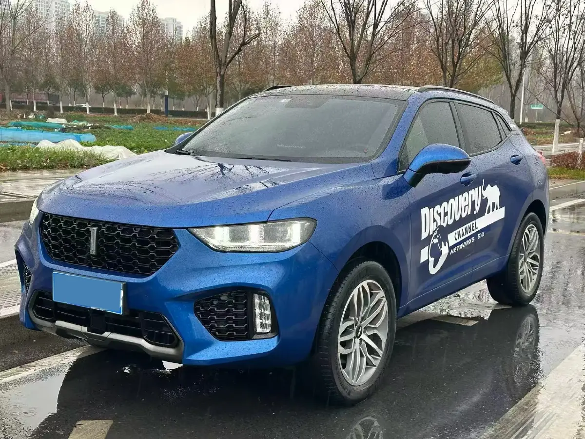 2017 WEY VV5 2.0T 197HP L4 7DCT