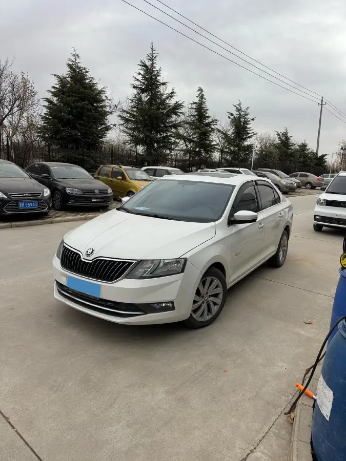 2019 SWM G01 1.5T 156HP L4 6MT