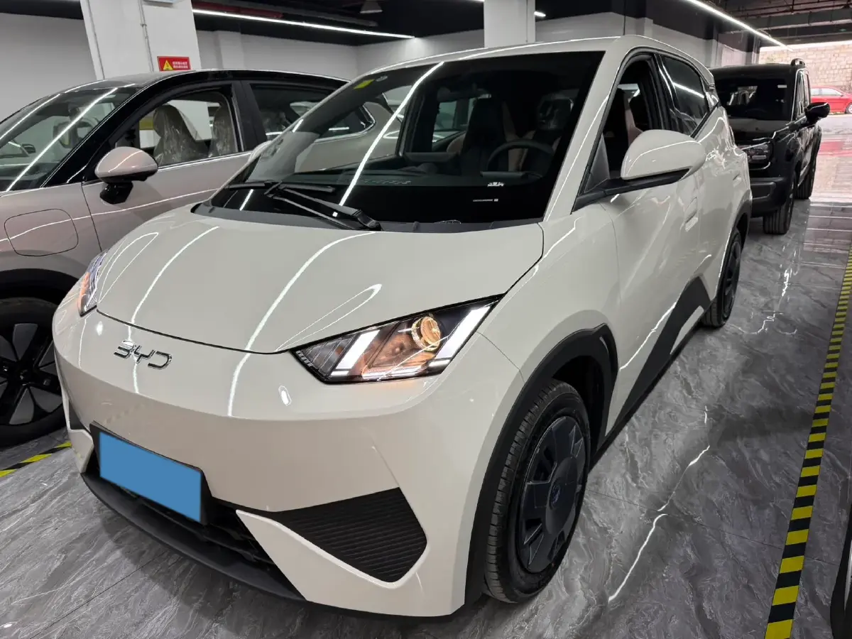 2025 BYD Seagull BEV 30.08KWH