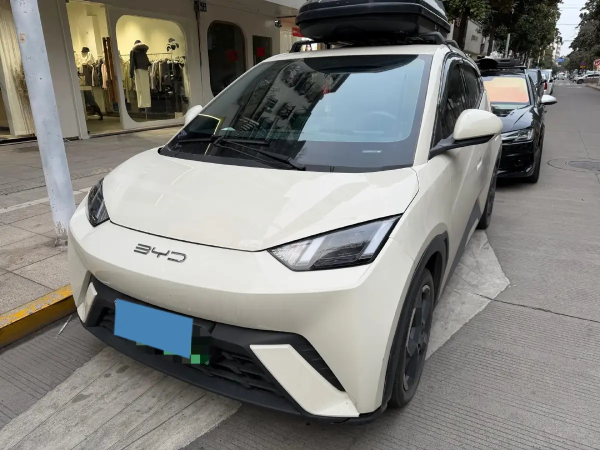 2023 BYD Yuan Pro BEV 38KWH