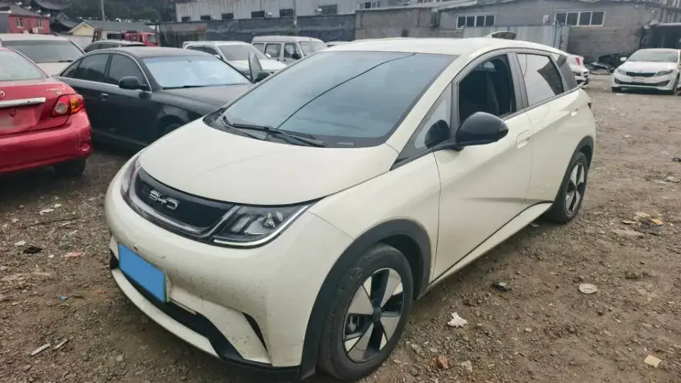 2023 BYD Dolphin BEV 44.928KWH