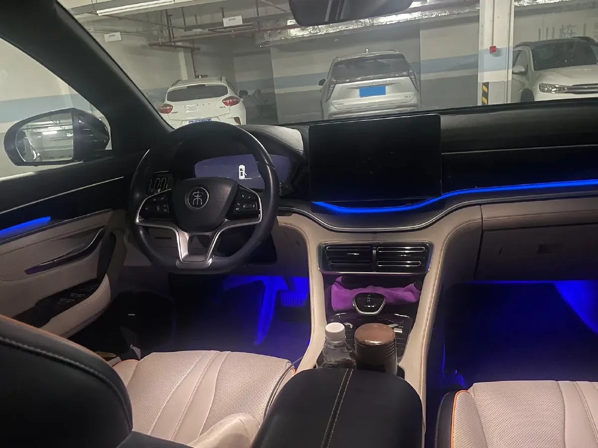 2021 SRM Sea Lion EV BEV 41.86KWH,autocango,china used car exporter,china ev exporter,chinese used car exporter,chinese used ev exporter